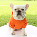 Warm Pet Clothes For Cats – Autumn Winter Hoodie Jacke & Coat