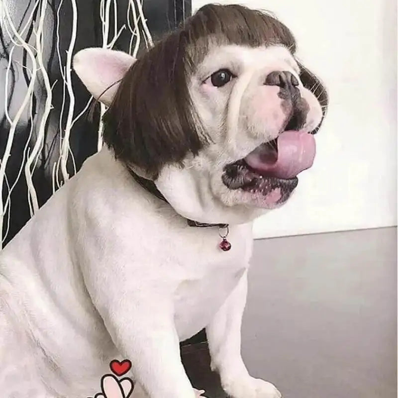 WiggleWhiskers Pet Wigs - Funny Costume Hair Hats for Dogs & Cats (Halloween & Christmas)