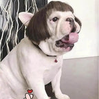 WiggleWhiskers Pet Wigs - Funny Costume Hair Hats for Dogs & Cats (Halloween & Christmas)
