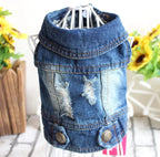 Denim Dog Clothes for Pitbulls Dachshund Fashion Dog Jeans Jacket  Blue Cowboy T-shirt for Shih Tzu Cool Apparel for Small Dogs