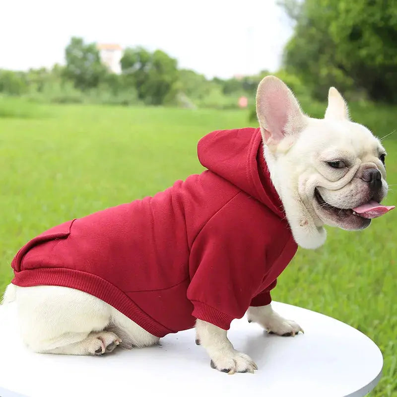Warm Pet Clothes For Cats – Autumn Winter Hoodie Jacke & Coat