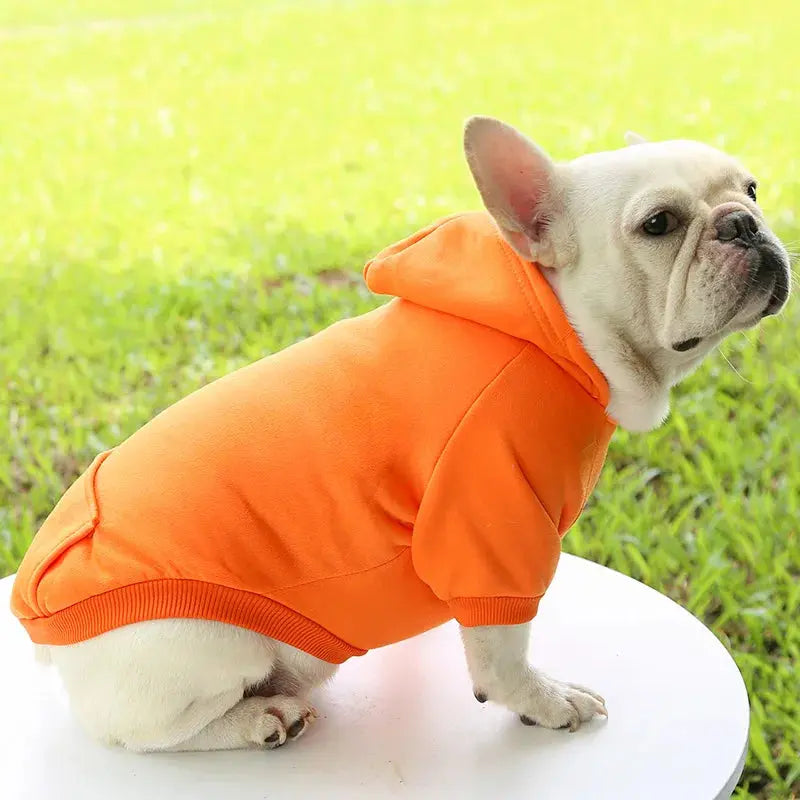 Warm Pet Clothes For Cats – Autumn Winter Hoodie Jacke & Coat