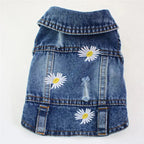 Denim Dog Clothes for Pitbulls Dachshund Fashion Dog Jeans Jacket  Blue Cowboy T-shirt for Shih Tzu Cool Apparel for Small Dogs