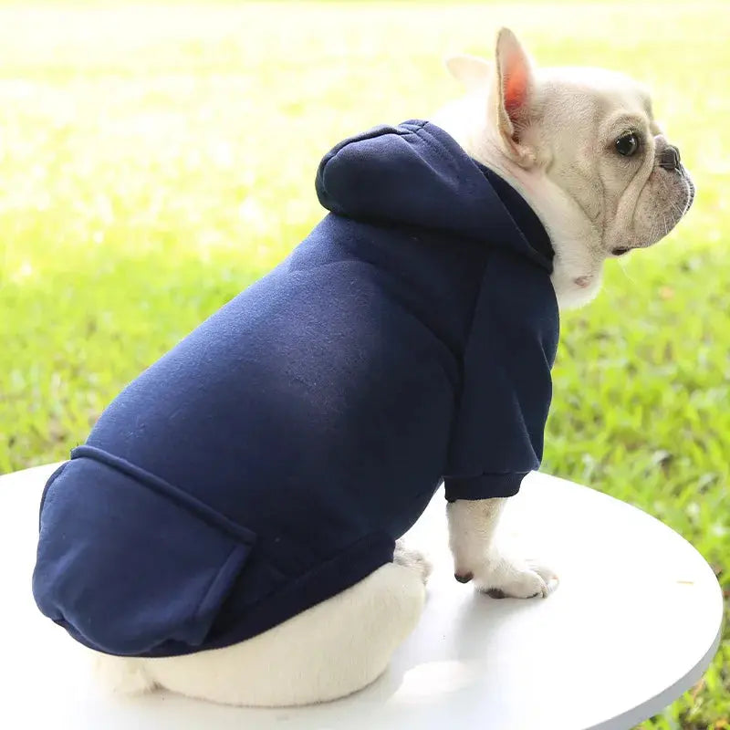Warm Pet Clothes For Cats – Autumn Winter Hoodie Jacke & Coat