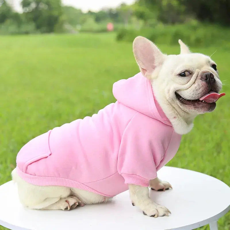 Warm Pet Clothes For Cats – Autumn Winter Hoodie Jacke & Coat