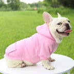 Warm Pet Clothes For Cats – Autumn Winter Hoodie Jacke & Coat