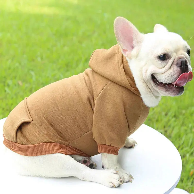 Warm Pet Clothes For Cats – Autumn Winter Hoodie Jacke & Coat