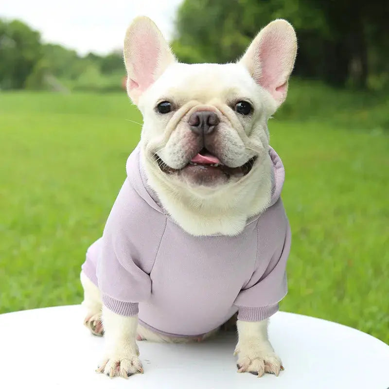 Warm Pet Clothes For Cats – Autumn Winter Hoodie Jacke & Coat