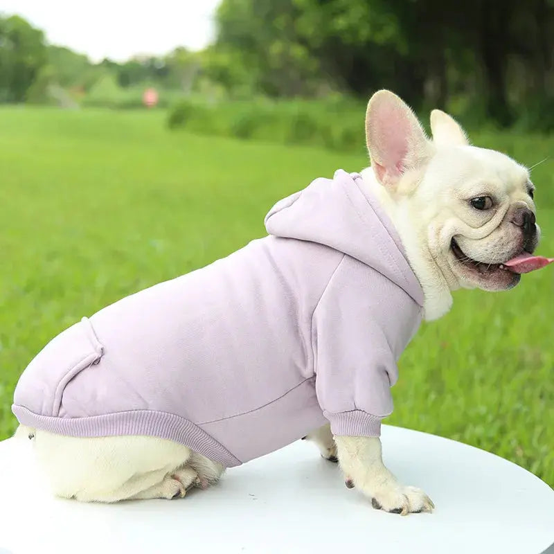 Warm Pet Clothes For Cats – Autumn Winter Hoodie Jacke & Coat
