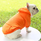 Warm Pet Clothes For Cats – Autumn Winter Hoodie Jacke & Coat