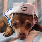 Funny Pet Cat Costumes – Navy Sailor Jacket Cloak Set