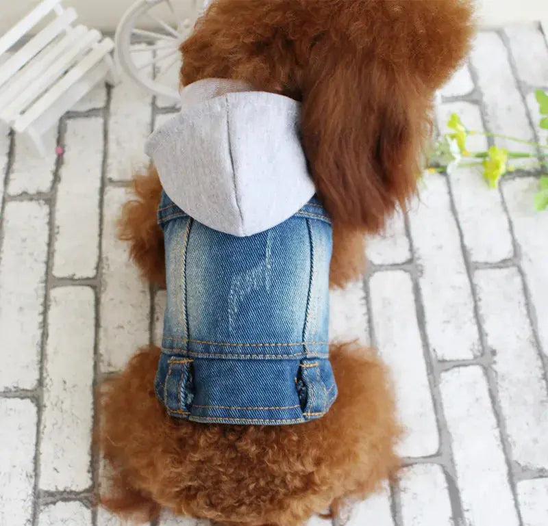 Denim Dog Clothes for Pitbulls Dachshund Fashion Dog Jeans Jacket  Blue Cowboy T-shirt for Shih Tzu Cool Apparel for Small Dogs