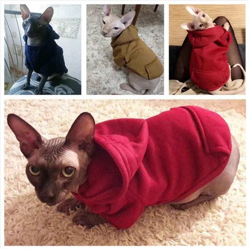 Warm Pet Clothes For Cats – Autumn Winter Hoodie Jacke & Coat