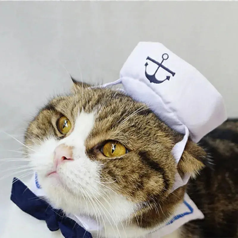 Funny Pet Cat Costumes – Navy Sailor Jacket Cloak Set