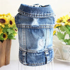 Denim Dog Clothes for Pitbulls Dachshund Fashion Dog Jeans Jacket  Blue Cowboy T-shirt for Shih Tzu Cool Apparel for Small Dogs