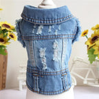 Denim Dog Clothes for Pitbulls Dachshund Fashion Dog Jeans Jacket  Blue Cowboy T-shirt for Shih Tzu Cool Apparel for Small Dogs