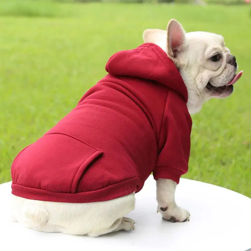 Warm Pet Clothes For Cats – Autumn Winter Hoodie Jacke & Coat