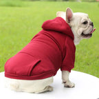 Warm Pet Clothes For Cats – Autumn Winter Hoodie Jacke & Coat