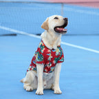 Pet Shirt for Dogs and Cats- Hawaiian Summer Apparel for Pets
