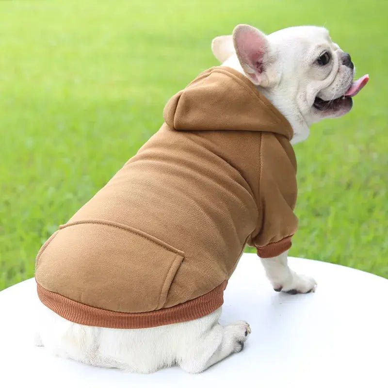 Warm Pet Clothes For Cats – Autumn Winter Hoodie Jacke & Coat