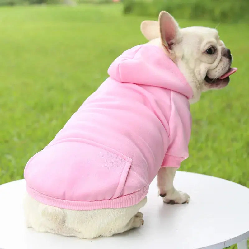 Warm Pet Clothes For Cats – Autumn Winter Hoodie Jacke & Coat