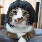 WiggleWhiskers Pet Wigs - Funny Costume Hair Hats for Dogs & Cats (Halloween & Christmas)
