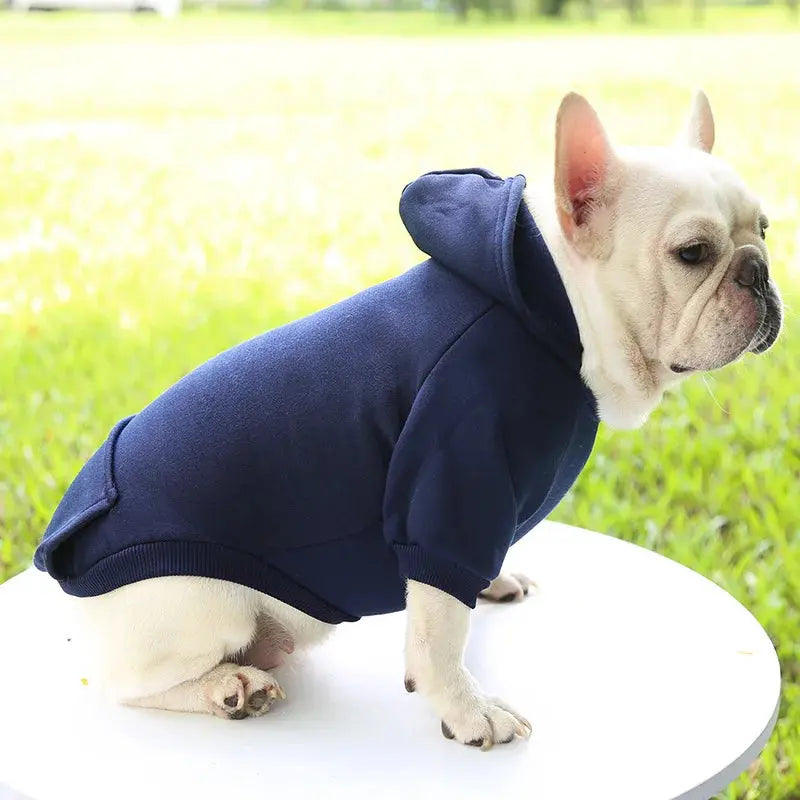 Warm Pet Clothes For Cats – Autumn Winter Hoodie Jacke & Coat