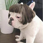 WiggleWhiskers Pet Wigs - Funny Costume Hair Hats for Dogs & Cats (Halloween & Christmas)