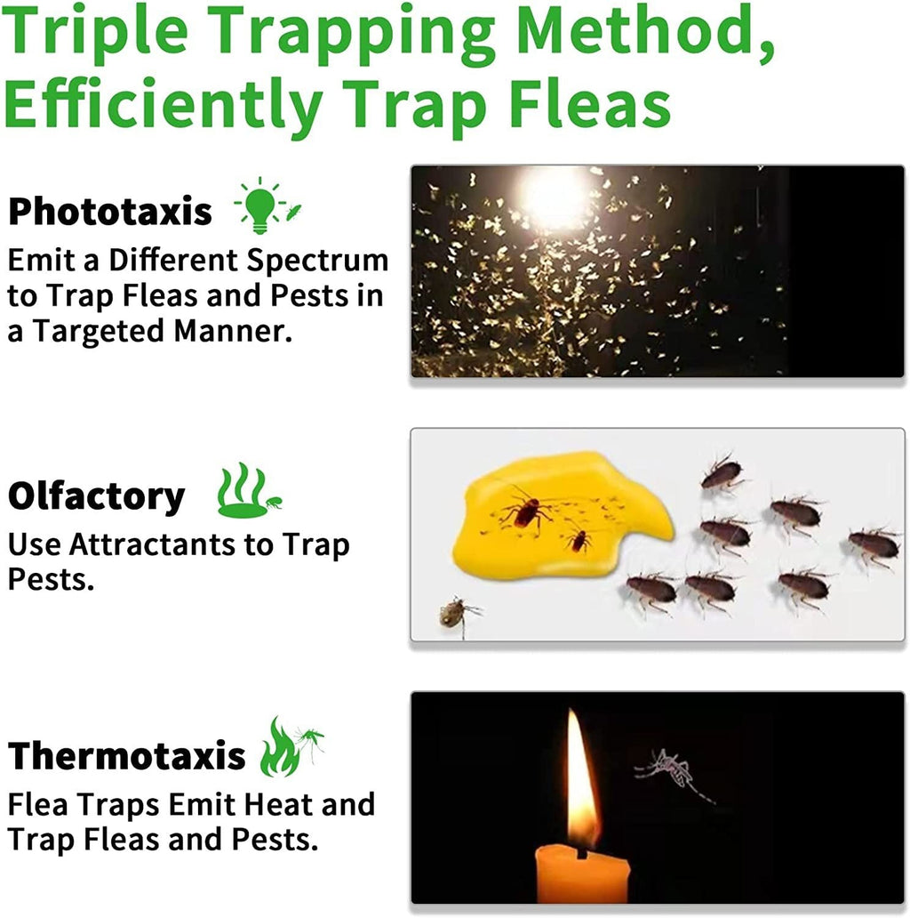 Household Pet Flea Trap – Easy and Safe Flea Control