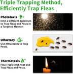 Household Pet Flea Trap – Easy and Safe Flea Control