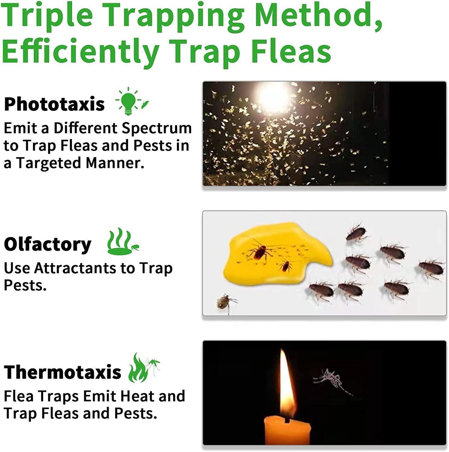 Household Pet Flea Trap – Easy and Safe Flea Control