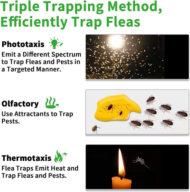 Household Pet Flea Trap – Easy and Safe Flea Control Main Image