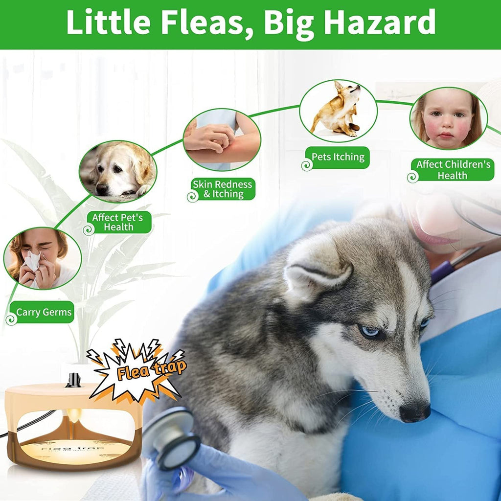 Household Pet Flea Trap – Easy and Safe Flea Control