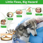 Household Pet Flea Trap – Easy and Safe Flea Control