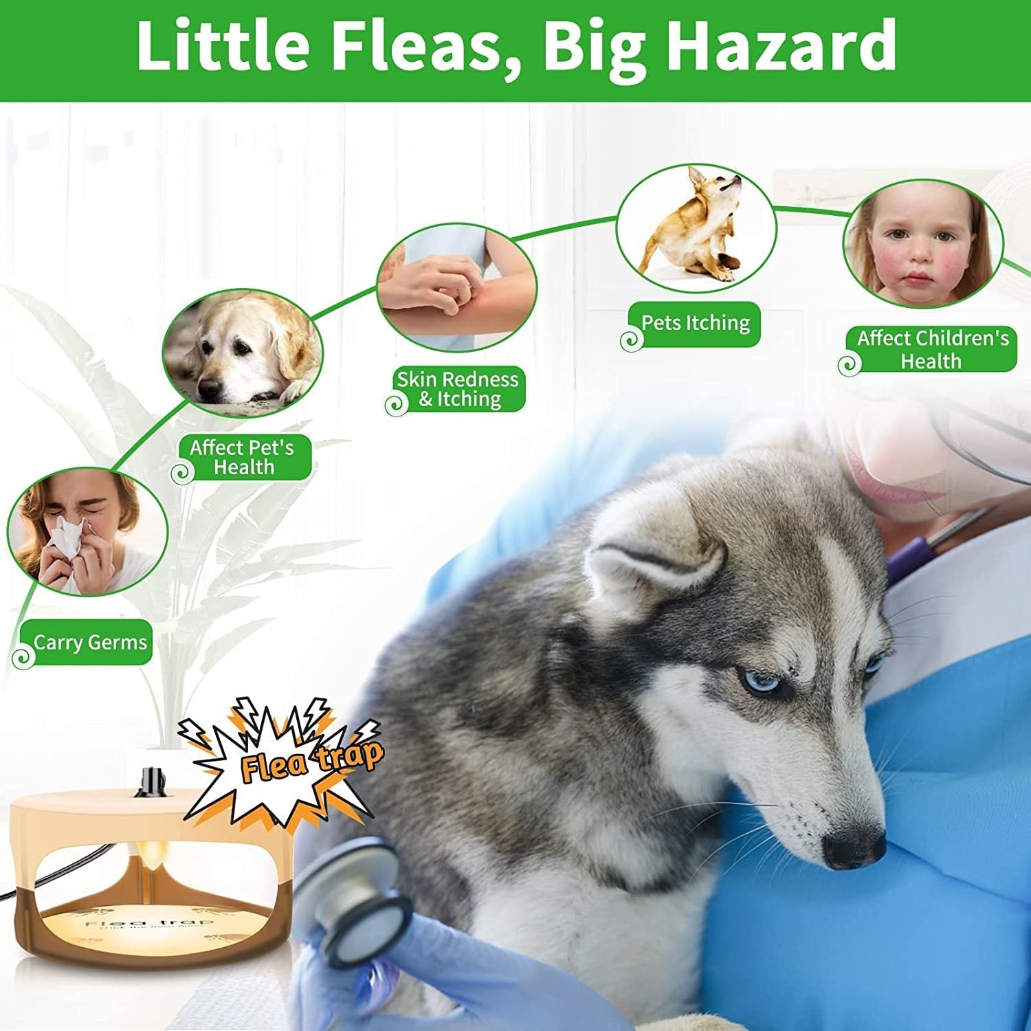Household Pet Flea Trap – Easy and Safe Flea Control