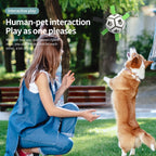 Interactive Dog Soccer Ball Toy for Training and Fun