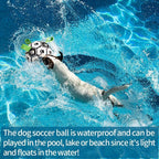 Interactive Dog Soccer Ball Toy for Training and Fun