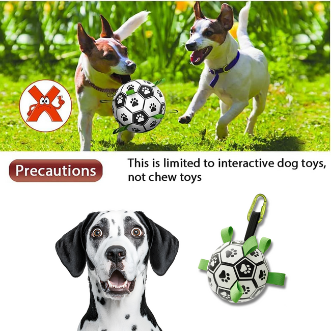 Interactive Dog Soccer Ball Toy for Training and Fun Main Image