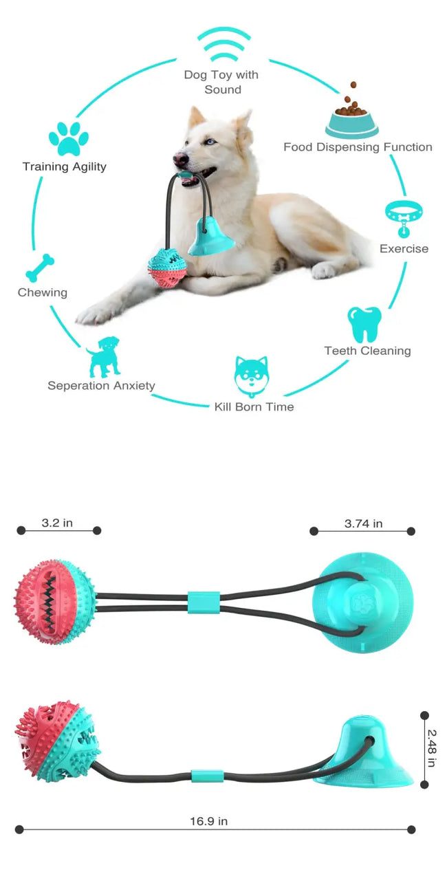 Pet Chew Toy with Suction Cup | Keeps Dogs Busy Main Image