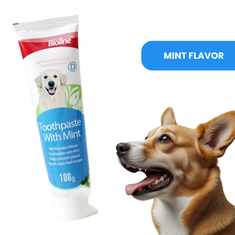 Natural Dog Toothpaste – Safe & Effective Oral Care for Pets