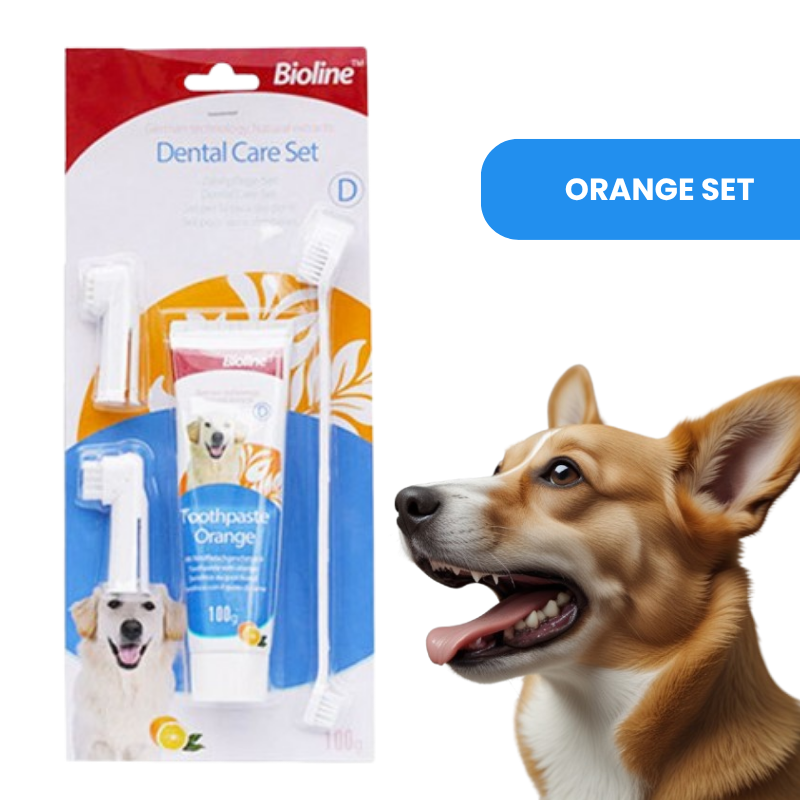 Natural Dog Toothpaste – Safe & Effective Oral Care for Pets