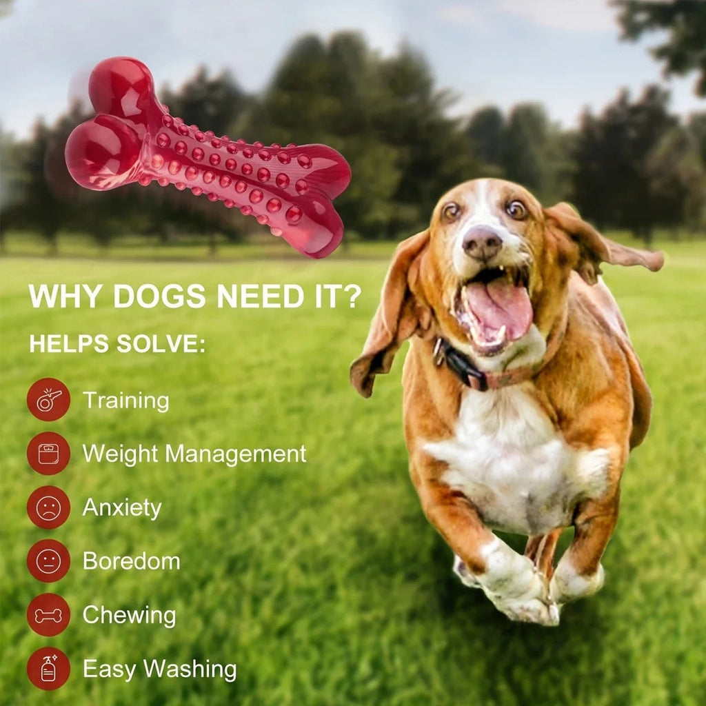 Natural Rubber Chew Toy for Heavy Chewers Meat Flavor