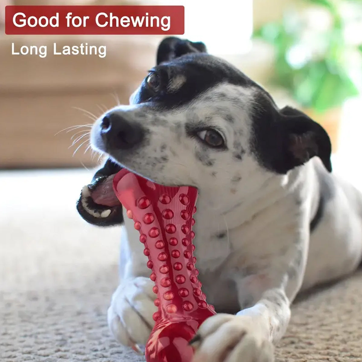 Natural Rubber Chew Toy for Heavy Chewers Meat Flavor
