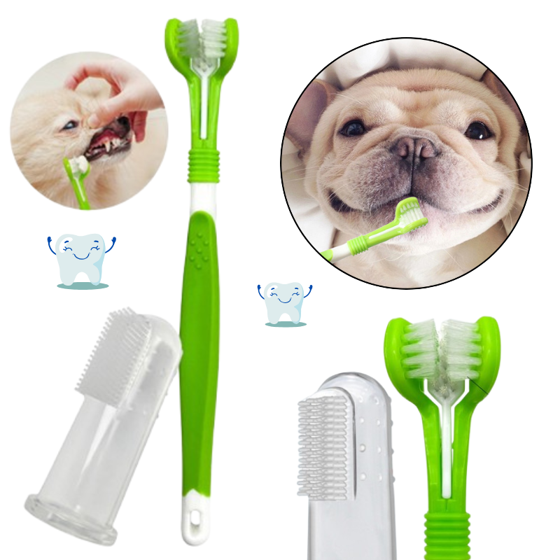 Pet Dental Care Kit – Toothbrush and Finger Cleaner Set