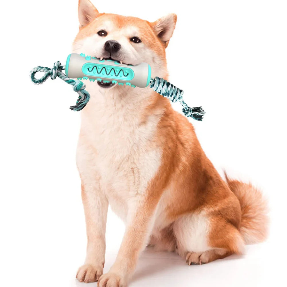 Dog Dental Chew Toy – Teeth Cleaning Fun for Dogs