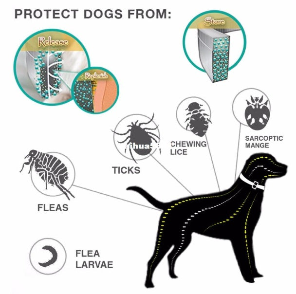 Natural Flea and Tick Collar 8-Month Protection for All Pets