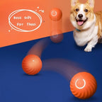 Rubber Dog Chew Ball – Interactive Bouncing Toy for Dogs