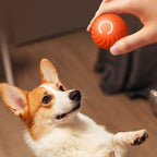 Rubber Dog Chew Ball – Interactive Bouncing Toy for Dogs