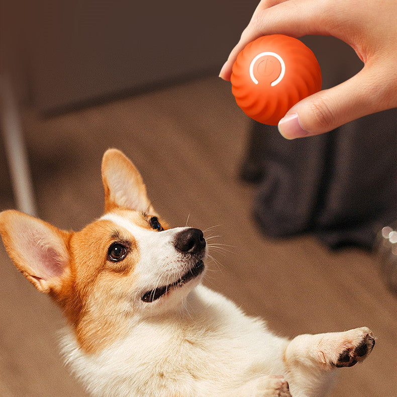 Rubber Dog Chew Ball – Interactive Bouncing Toy for Dogs
