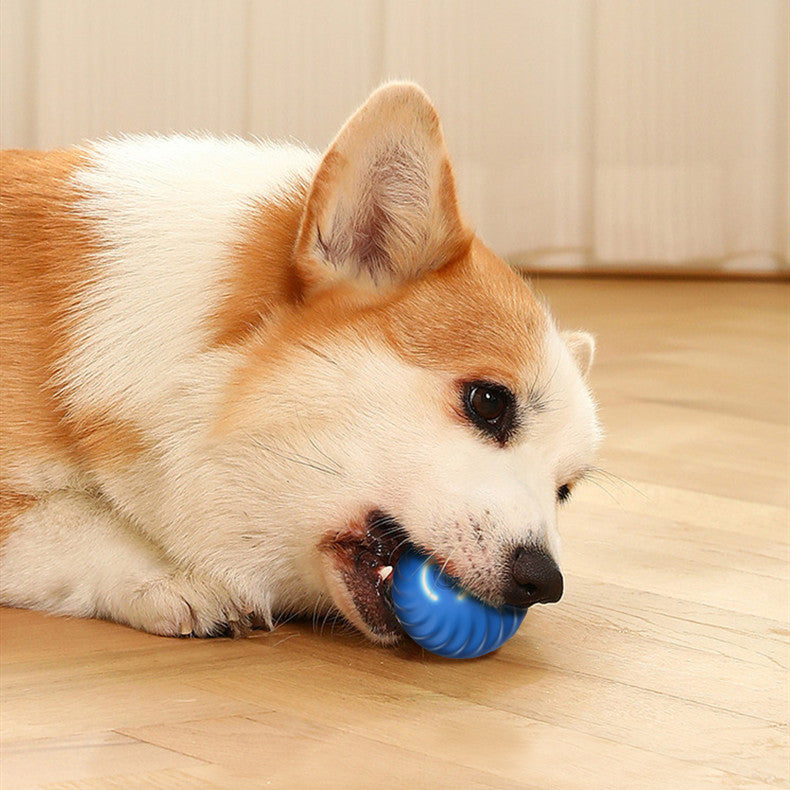 Rubber Dog Chew Ball – Interactive Bouncing Toy for Dogs